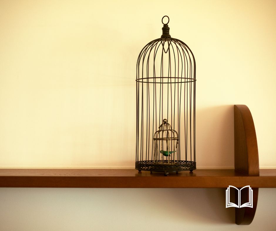 Birds Cage on a wooden shelf.